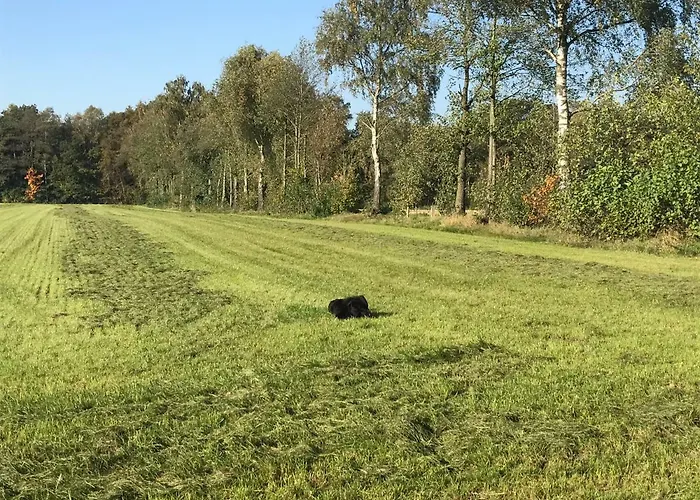 Ferienwohnung Am Komisenpad